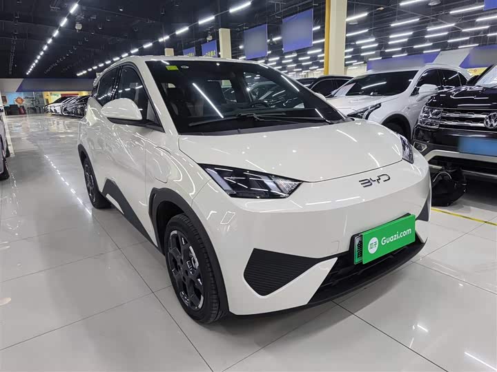 Фото 4 - BYD Seagull