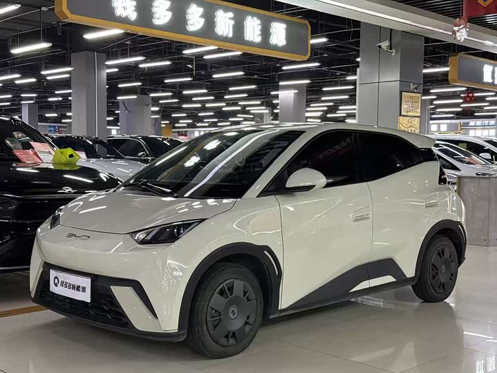 Фото 1 - BYD Seagull