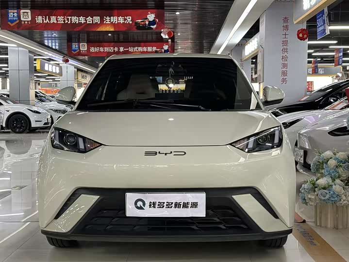 Фото 2 - BYD Seagull