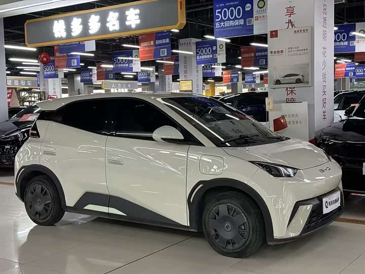 Фото 3 - BYD Seagull