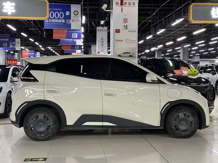 Фото 4 - BYD Seagull