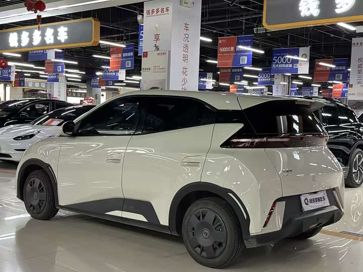 Фото 5 - BYD Seagull