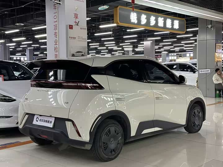 Фото 7 - BYD Seagull