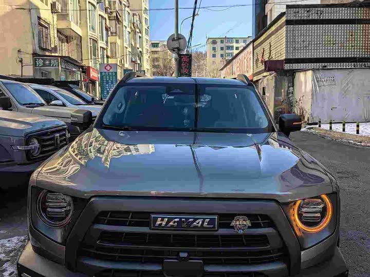 Фото 1 - Haval Dargo