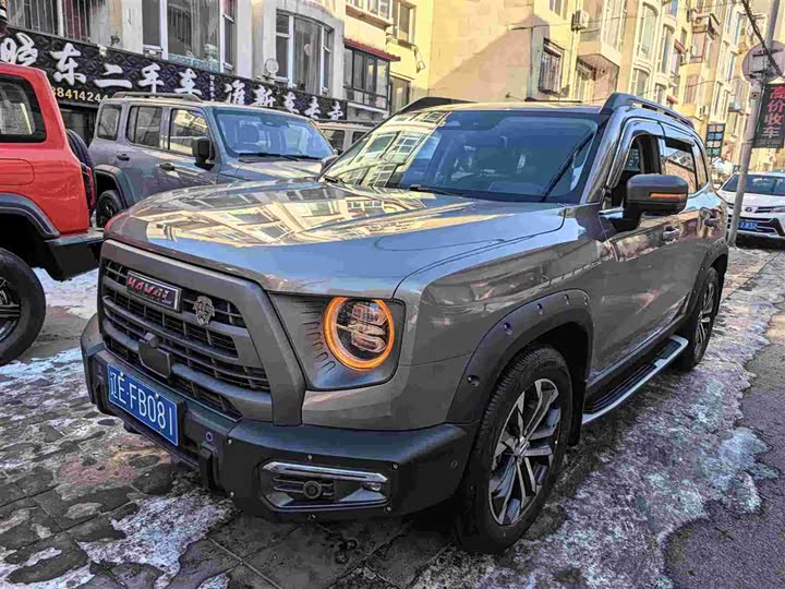 Фото 2 - Haval Dargo