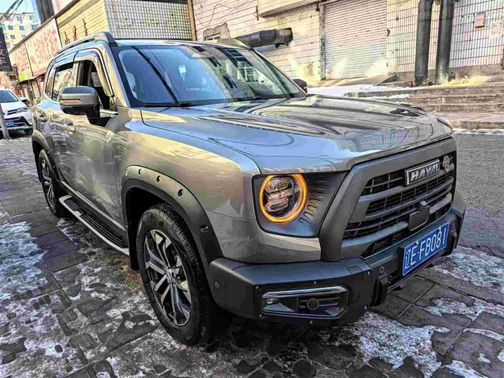 Фото 3 - Haval Dargo