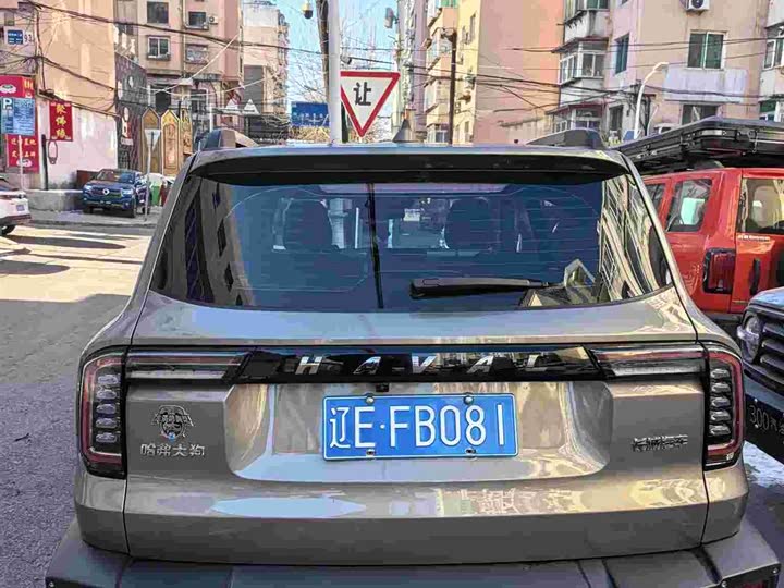 Фото 4 - Haval Dargo