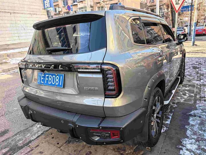 Фото 5 - Haval Dargo