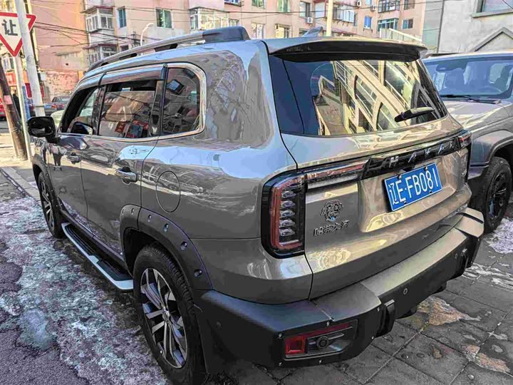 Фото 6 - Haval Dargo