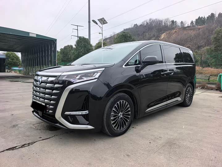 Фото 1 - Denza D9