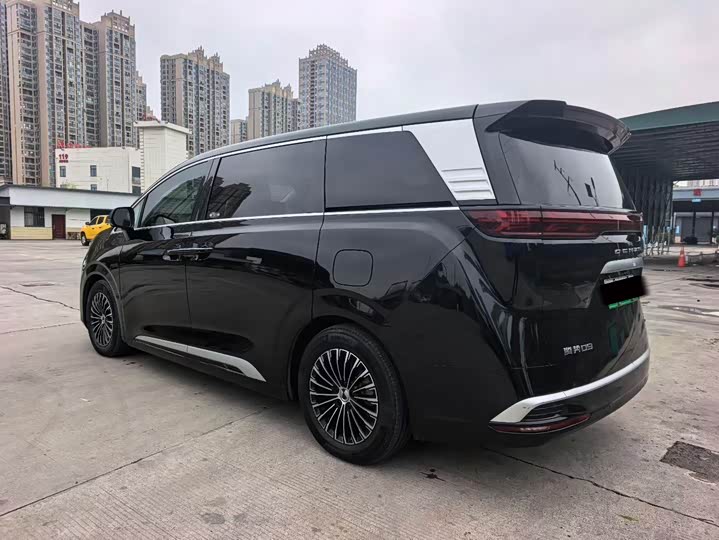 Фото 4 - Denza D9