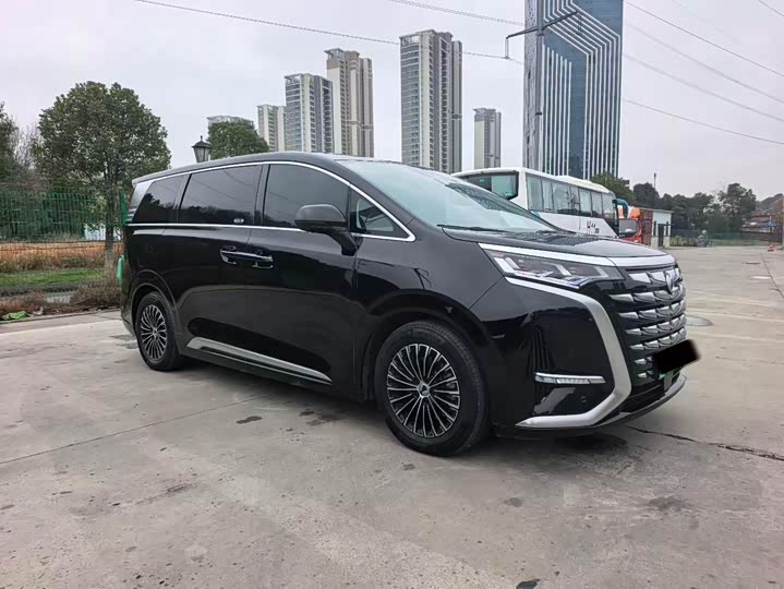 Фото 6 - Denza D9