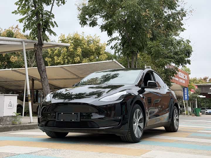 Фото 1 - Tesla Model Y