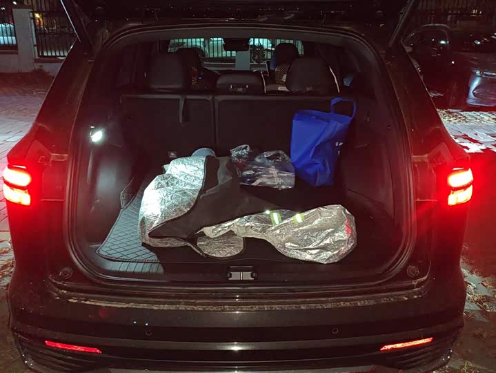 Фото 4 - Geely Monjaro