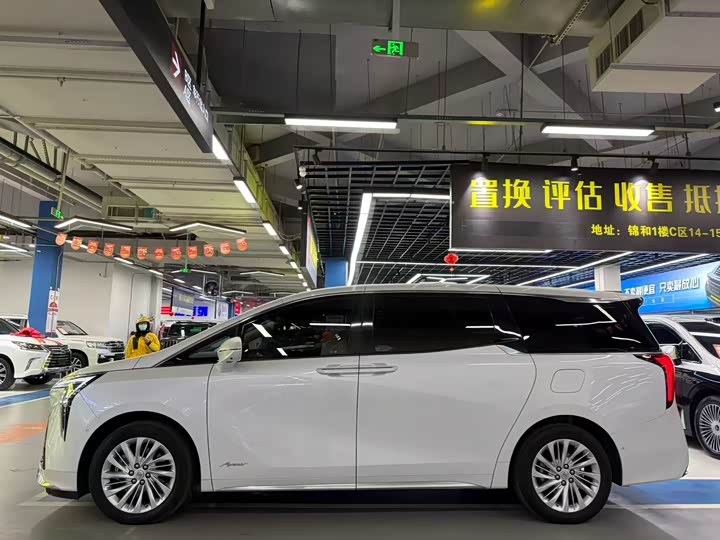 Фото 7 - Buick GL8 Century