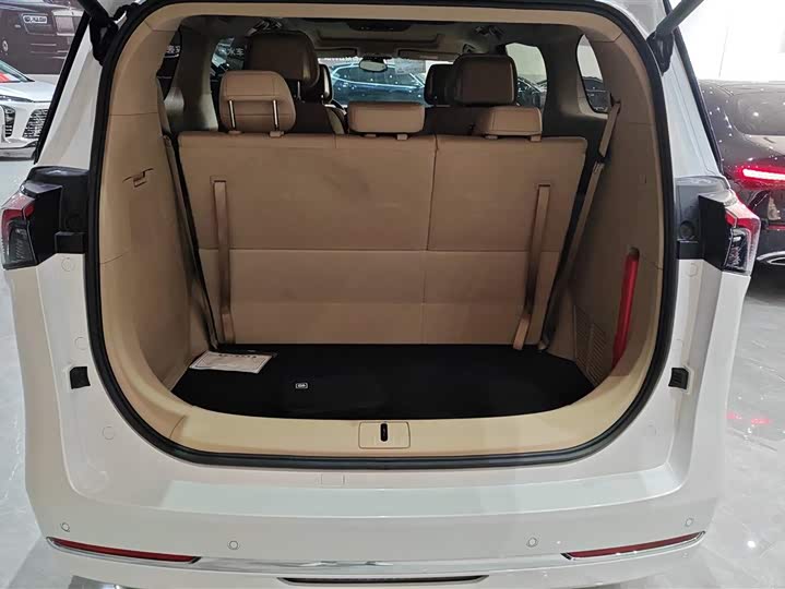 Фото 4 - Buick GL8 Hybrid