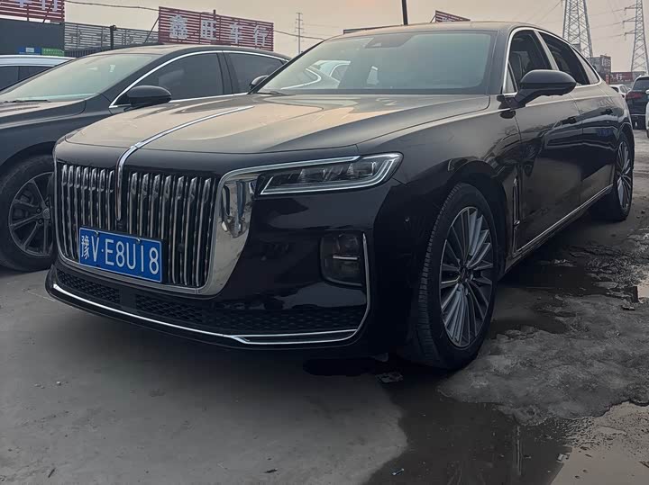 Фото 1 - Hongqi H9