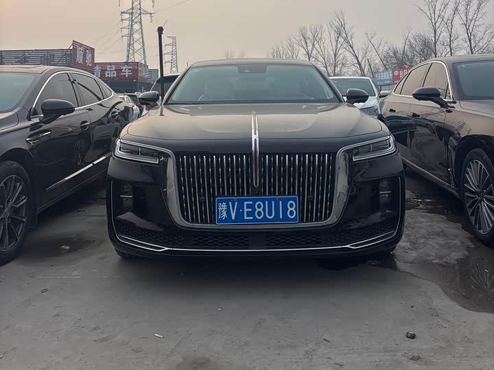 Фото 2 - Hongqi H9
