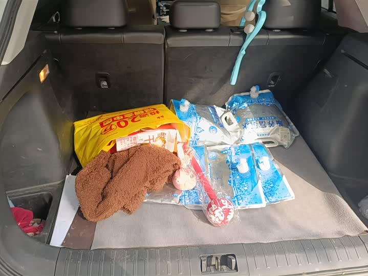 Фото 4 - GAC Aion V