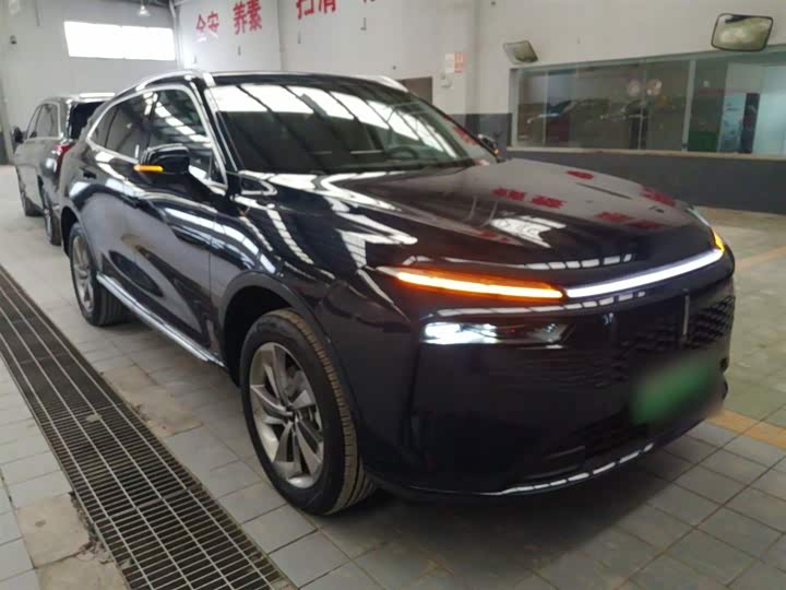 Фото 4 - Wey Mocca Hybrid