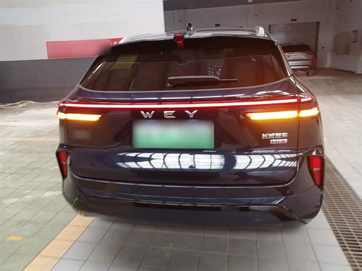 Фото 6 - Wey Mocca Hybrid