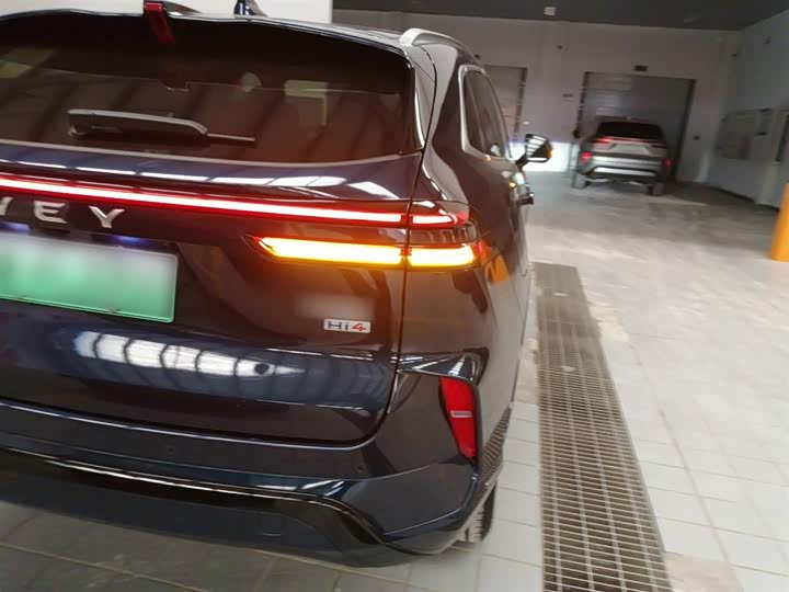 Фото 8 - Wey Mocca Hybrid