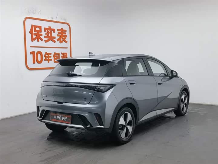 Фото 2 - BYD Dolphin