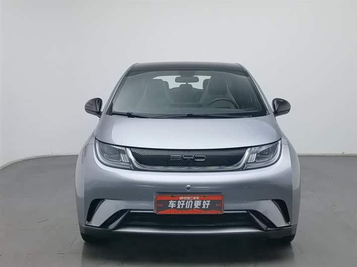 Фото 3 - BYD Dolphin