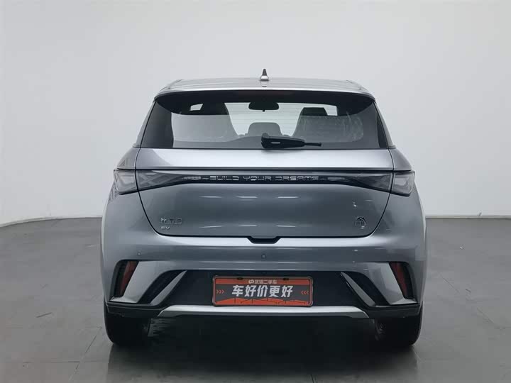 Фото 4 - BYD Dolphin