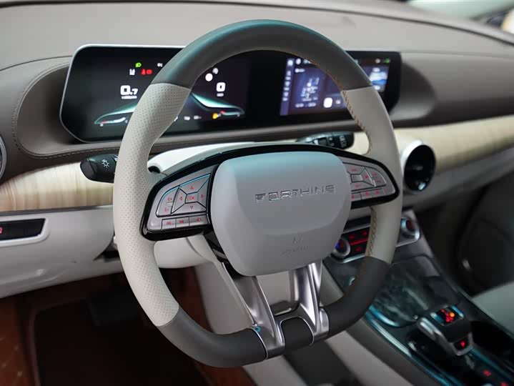 Фото 8 - Dongfeng Forthing Yacht