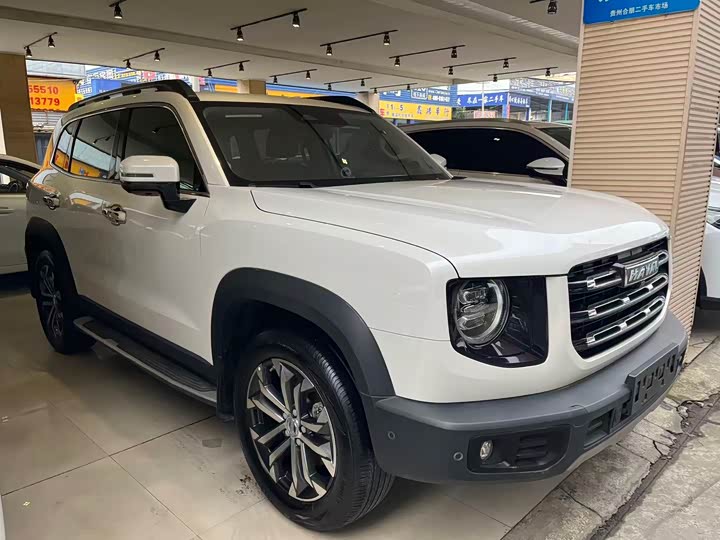 Фото 3 - Haval Dargo