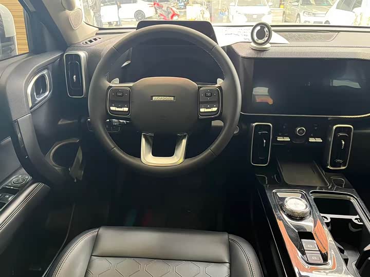 Фото 6 - Haval Dargo