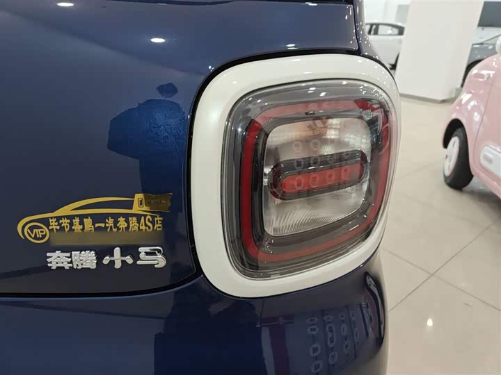 Фото 8 - Bestune Pony