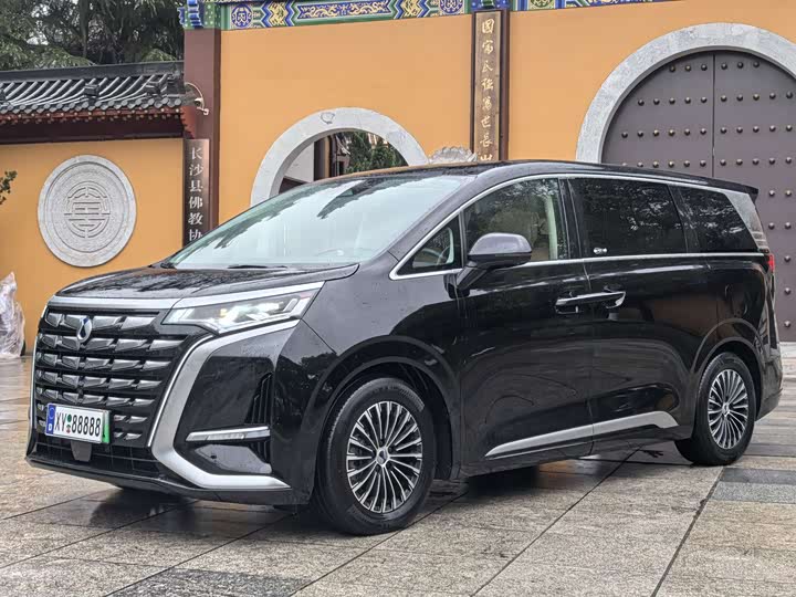 Фото 1 - Denza D9