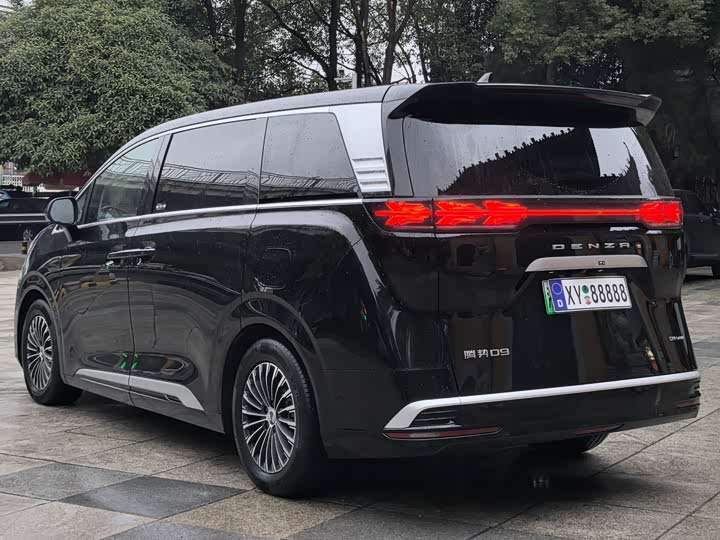 Фото 3 - Denza D9