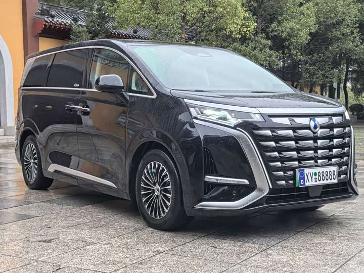 Фото 6 - Denza D9