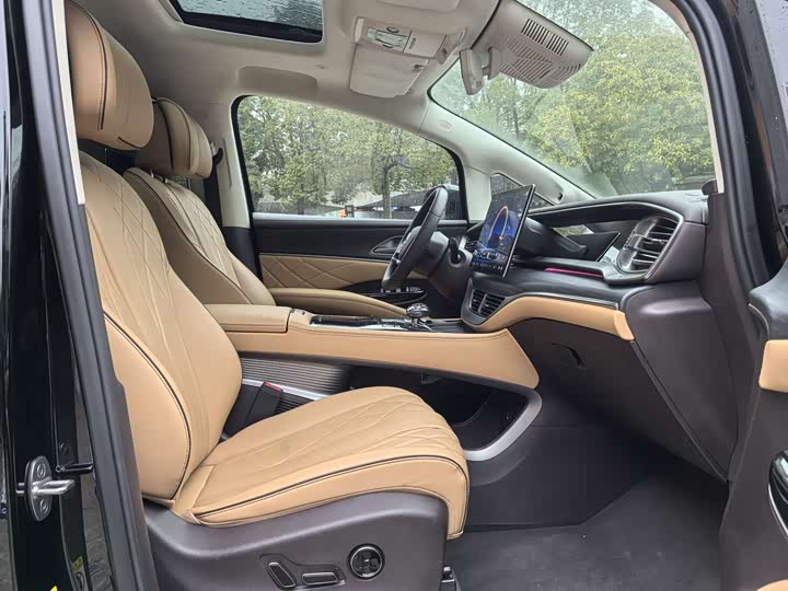 Фото 9 - Denza D9