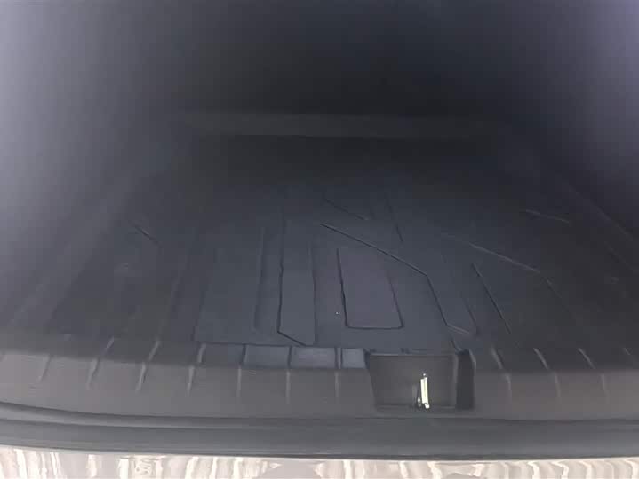 Фото 4 - BYD Qin Plus