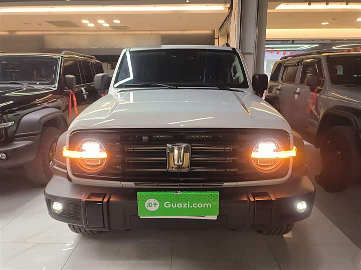 Фото 3 - Tank 300