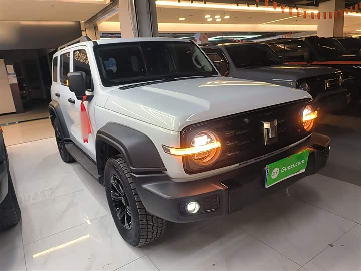 Фото 4 - Tank 300