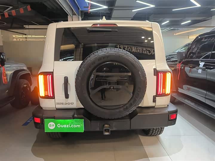 Фото 6 - Tank 300