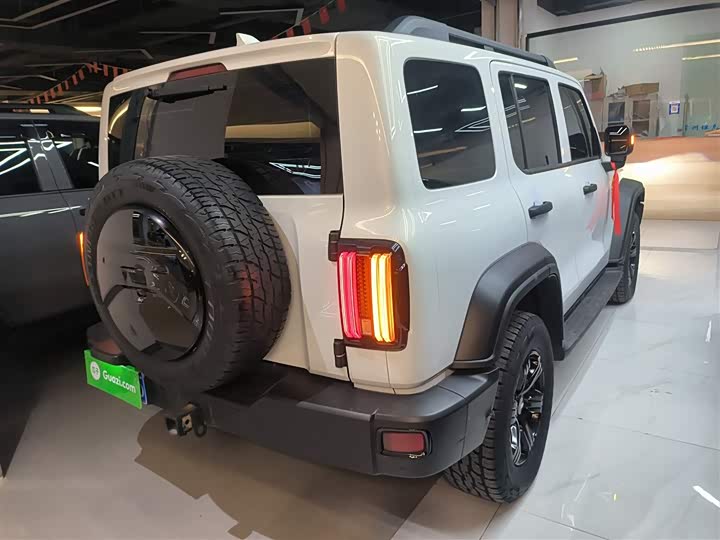 Фото 7 - Tank 300