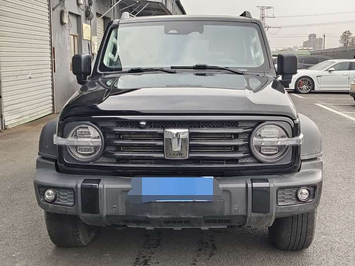 Фото 2 - Tank 300