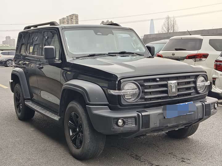 Фото 3 - Tank 300