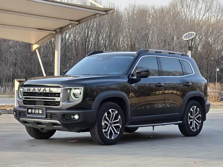 Фото 1 - Haval Dargo