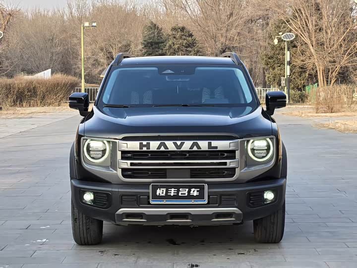 Фото 2 - Haval Dargo