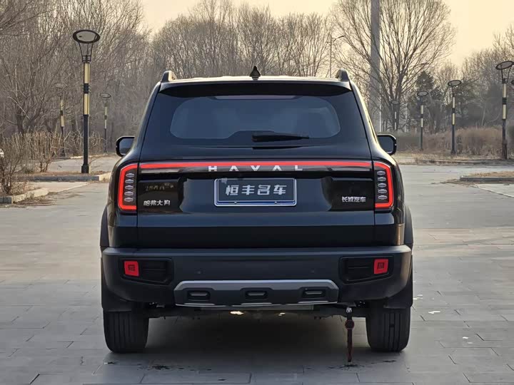 Фото 4 - Haval Dargo