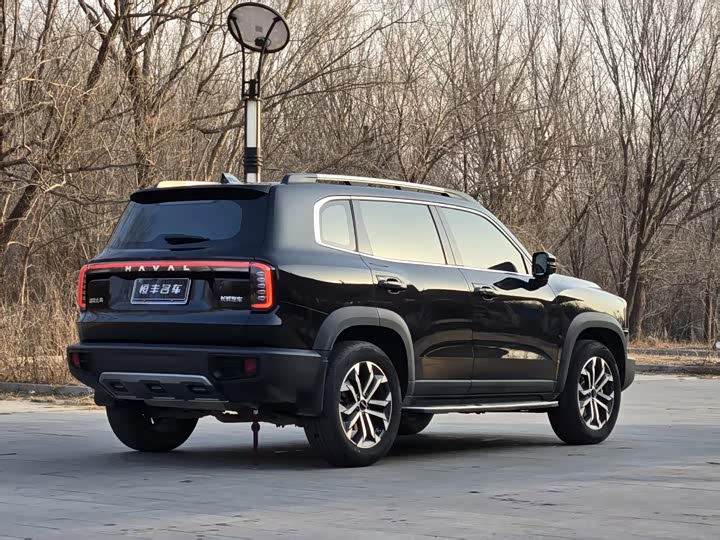 Фото 5 - Haval Dargo