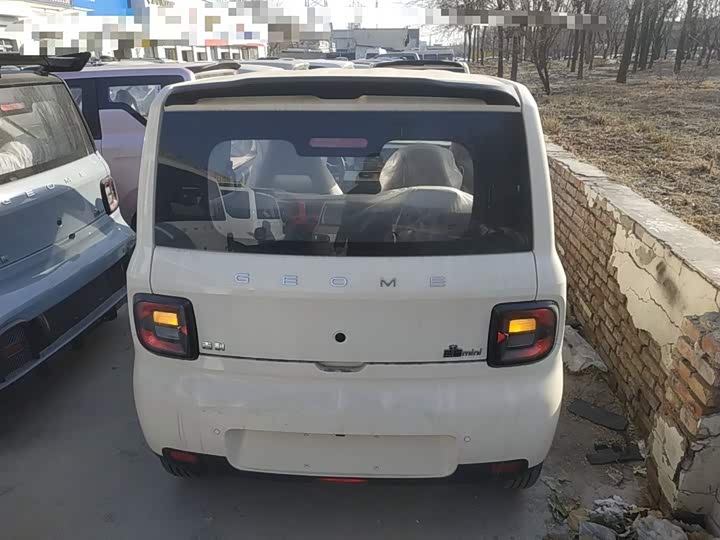 Фото 5 - Geely Galaxy Panda Mini