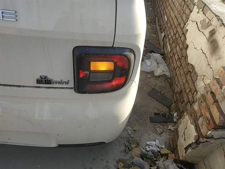 Фото 7 - Geely Galaxy Panda Mini